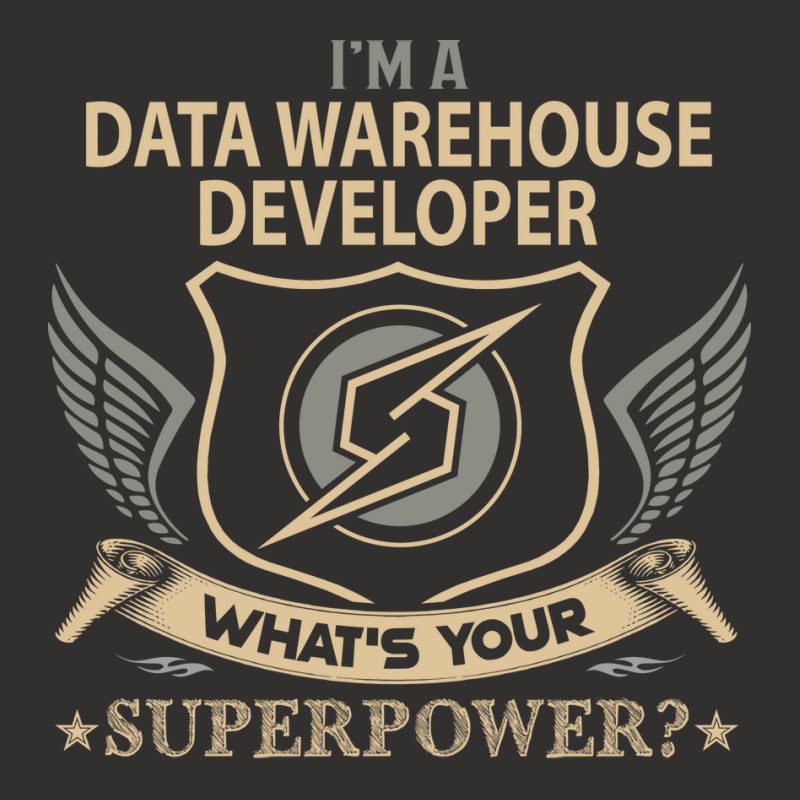 Data Warehouse Developer T  Superpower Gift Item T Champion Hoodie | Artistshot