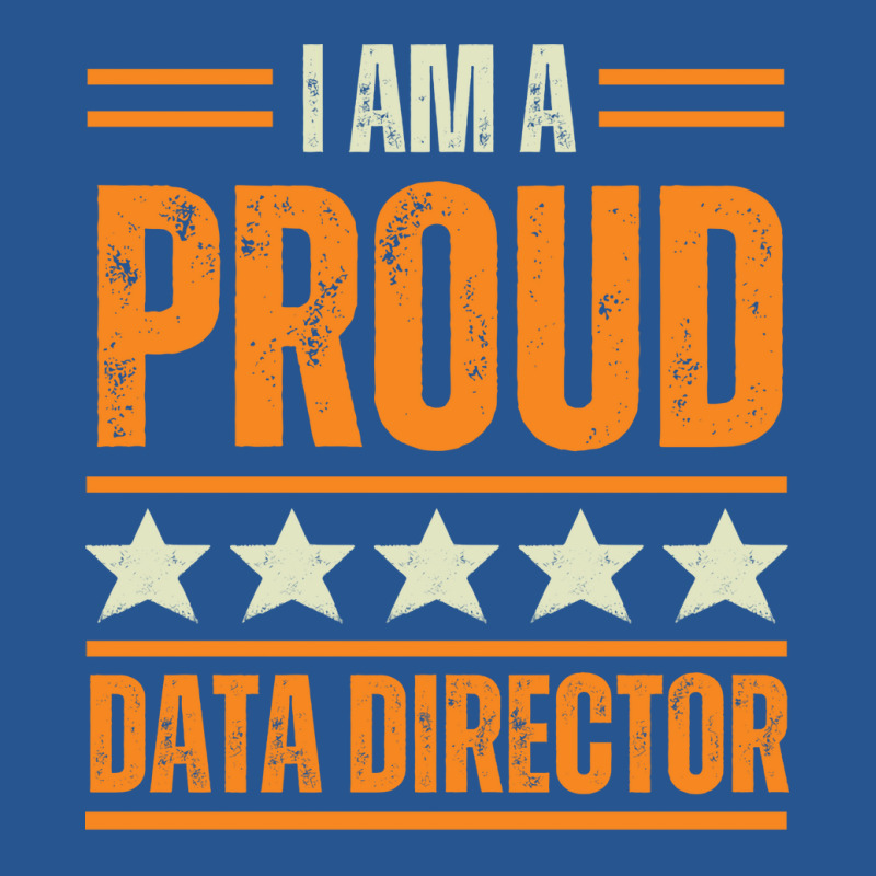 Proud Data Director Music Ladies Fitted T-Shirt by lhedideuricp | Artistshot