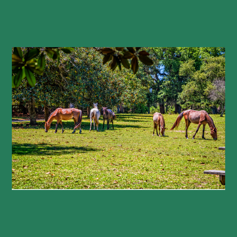 Wild Horses At Cumberland Island National Seashore T-Shirt by seakolaasseh | Artistshot