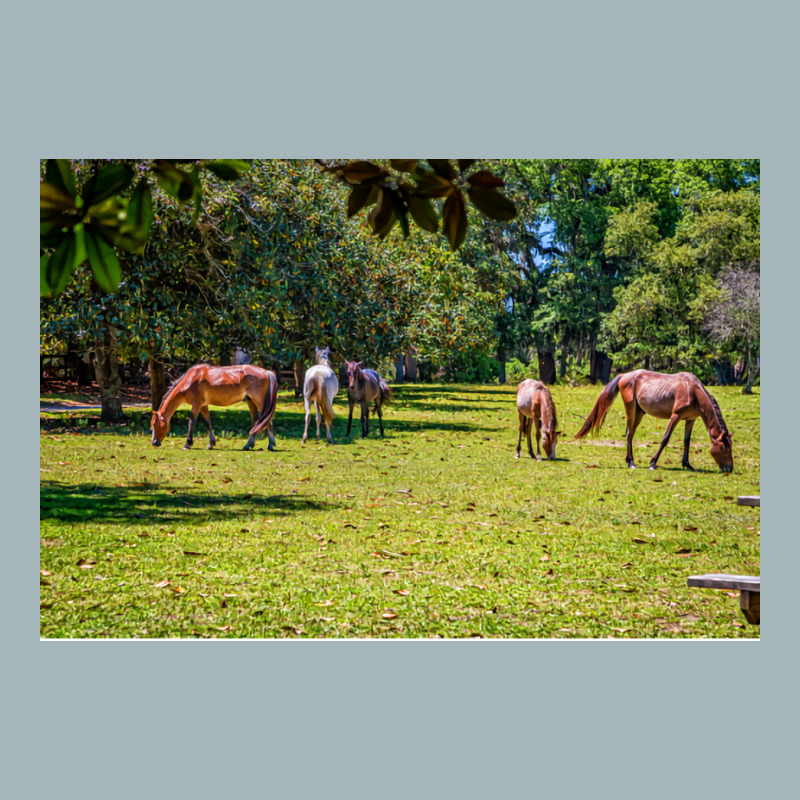 Wild Horses At Cumberland Island National Seashore Unisex Sherpa-Lined Denim Jacket by seakolaasseh | Artistshot