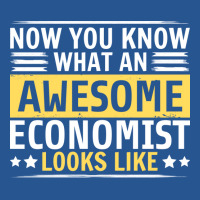 Now You Know What An Awesome Economist Looks Like Ladies Fitted T-shirt | Artistshot