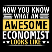 Now You Know What An Awesome Economist Looks Like Maternity Scoop Neck T-shirt | Artistshot