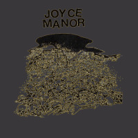 Joyce Manor   Skulls  Apparel For Fans Ladies Curvy T-shirt | Artistshot