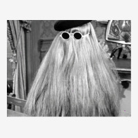 Cousin Itt Classic T-shirt | Artistshot