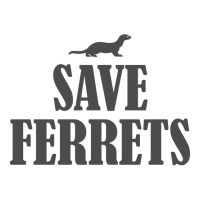 Save Ferrets V-neck Tee | Artistshot