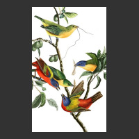 John James Audubon   Painted Bunting Baby Bodysuit | Artistshot