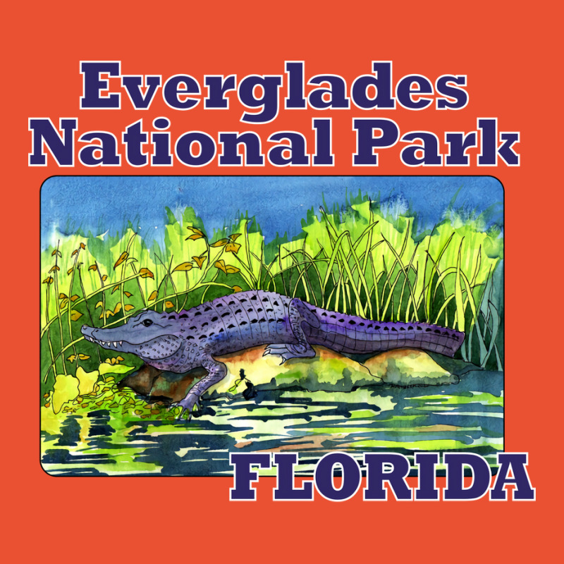 Everglades National Park Florida Retro Ladies Fitted T-Shirt by brenzanohi | Artistshot