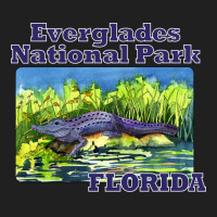 Everglades National Park Florida Retro Ladies Polo Shirt | Artistshot