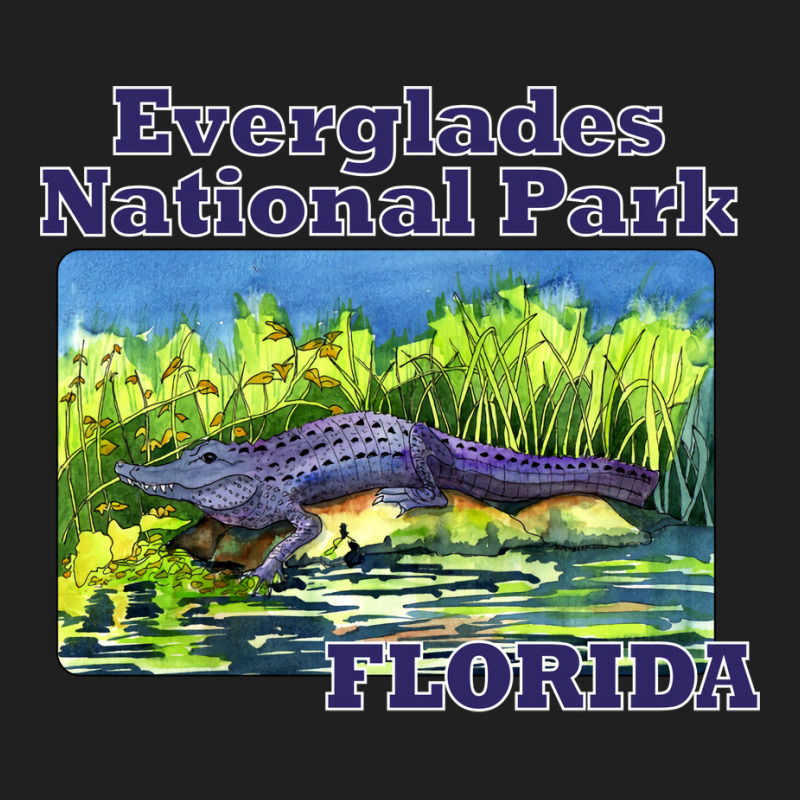 Everglades National Park Florida Retro Ladies Polo Shirt by brenzanohi | Artistshot