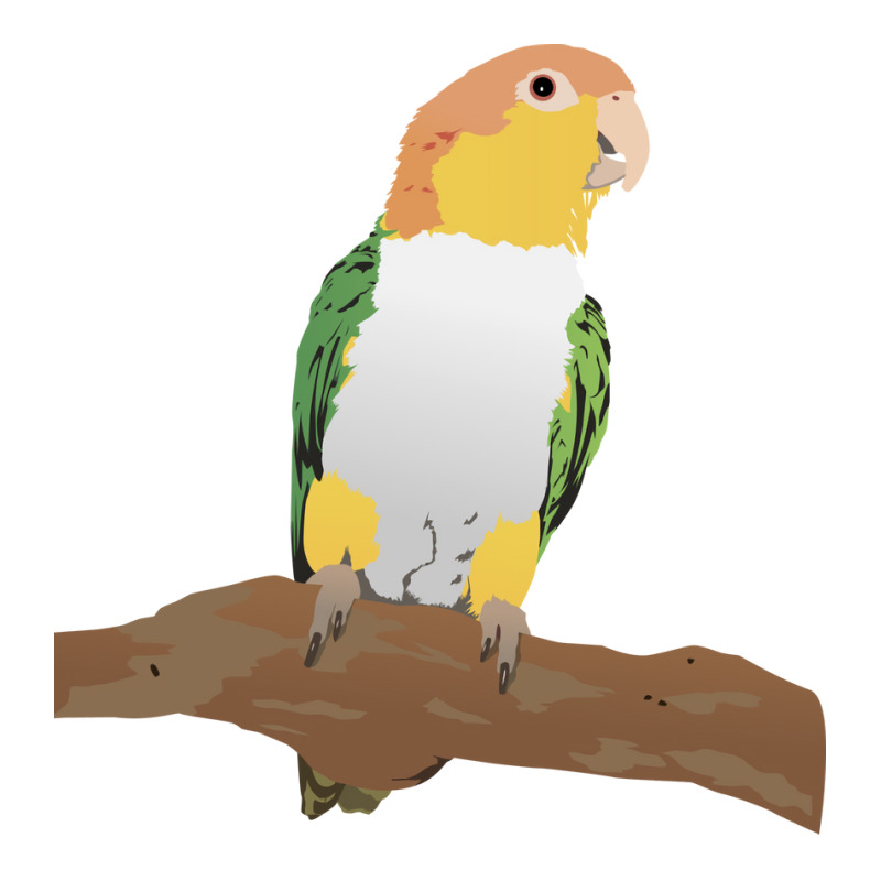 Caique Parrot Funny V-neck Tee | Artistshot