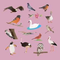 Various Birds Red Classic T-shirt | Artistshot