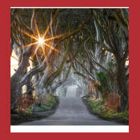 The Dark Hedges  County Antrim  Northern Ireland Ladies Fitted T-shirt | Artistshot