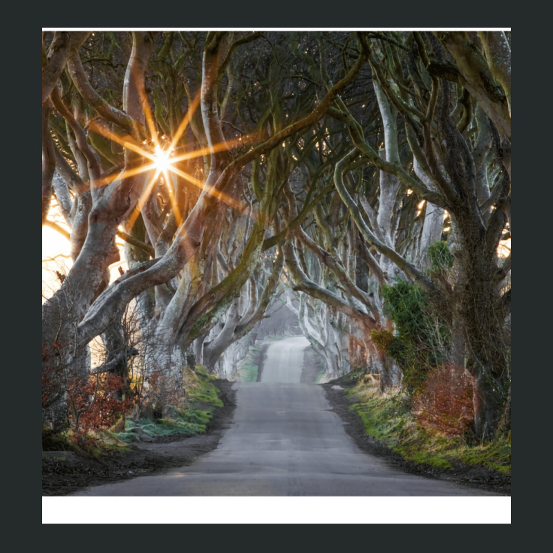 The Dark Hedges  County Antrim  Northern Ireland Women's Triblend Scoop T-shirt by pectolboevex | Artistshot