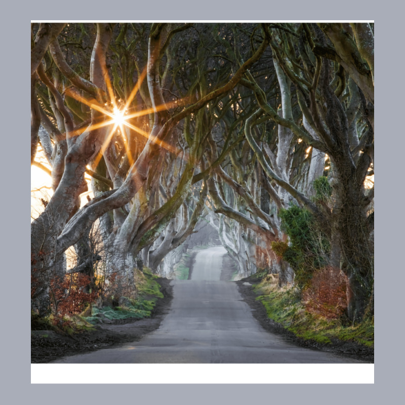 The Dark Hedges  County Antrim  Northern Ireland Tank Dress by pectolboevex | Artistshot