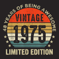 48 Year Old Gifts Vintage 1975 Limited Edition 48t Vintage Cap | Artistshot