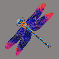 Dragonfly Divine Aesthetic Adjustable Cap | Artistshot