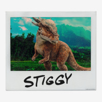 Stiggy Instant Photo Scorecard Crop Tee | Artistshot