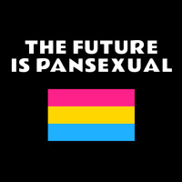 The Future Is Pansexual Pansexuality Pride  Aesthe Legging | Artistshot