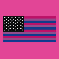 United States Of Bisexual Aesthetic T-shirt | Artistshot