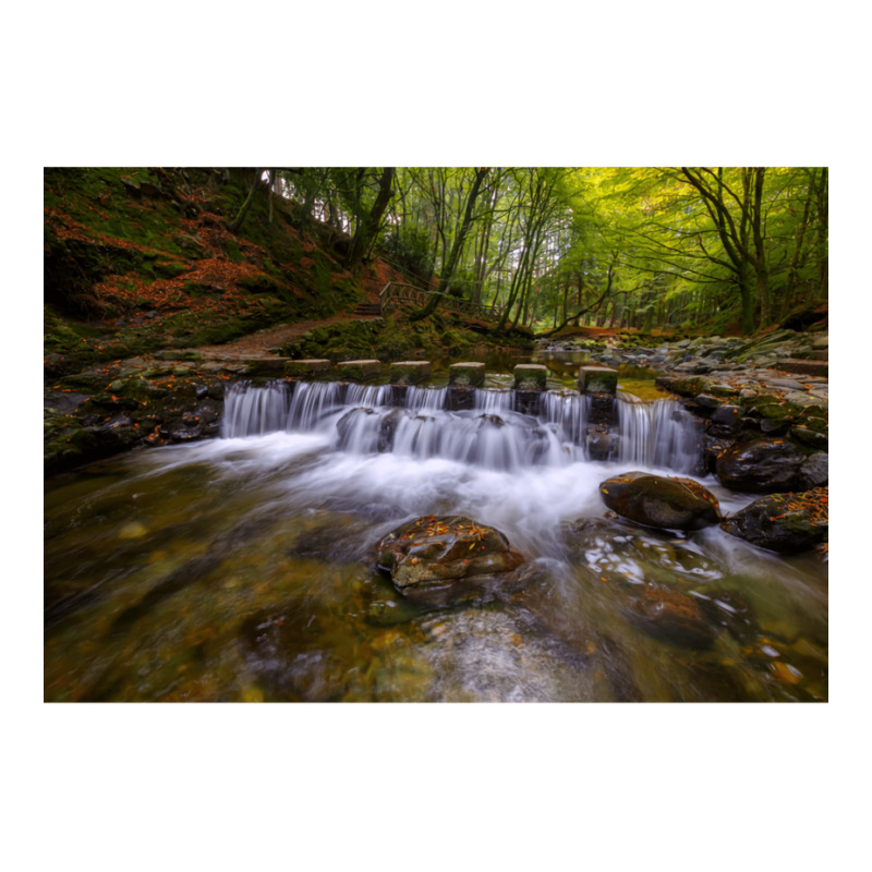 Tollymore Forest Park  County Down  Northern Irela Zipper Hoodie by oliwermabopep | Artistshot