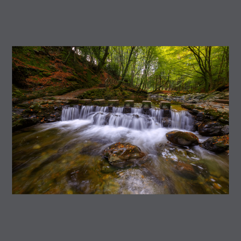 Tollymore Forest Park  County Down  Northern Irela Ladies Fitted T-Shirt by oliwermabopep | Artistshot