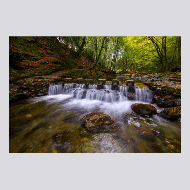 Tollymore Forest Park  County Down  Northern Irela Women's Triblend Scoop T-shirt by oliwermabopep | Artistshot