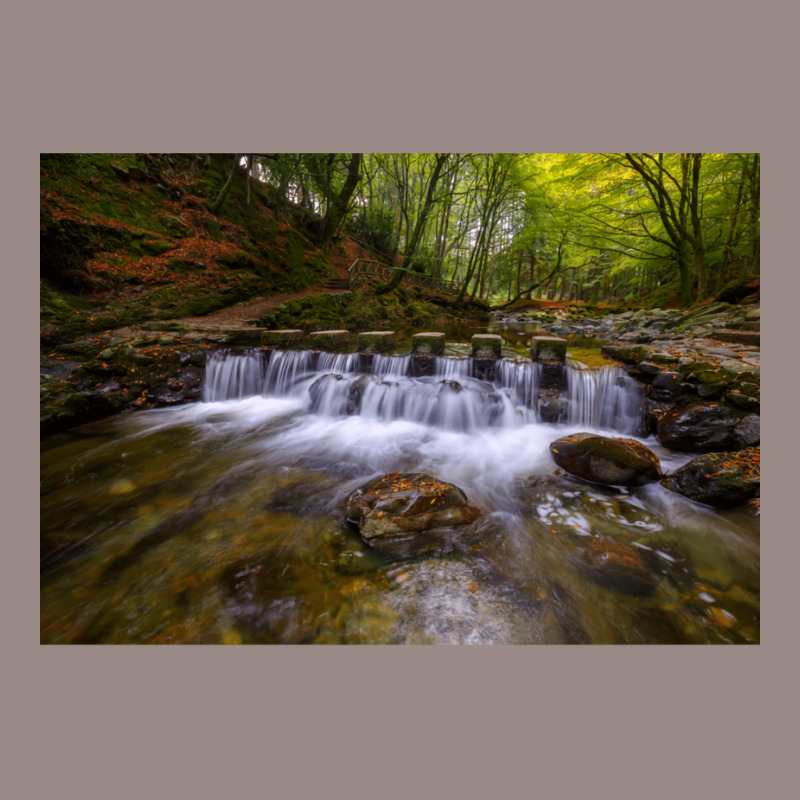 Tollymore Forest Park  County Down  Northern Irela Vintage T-Shirt by oliwermabopep | Artistshot