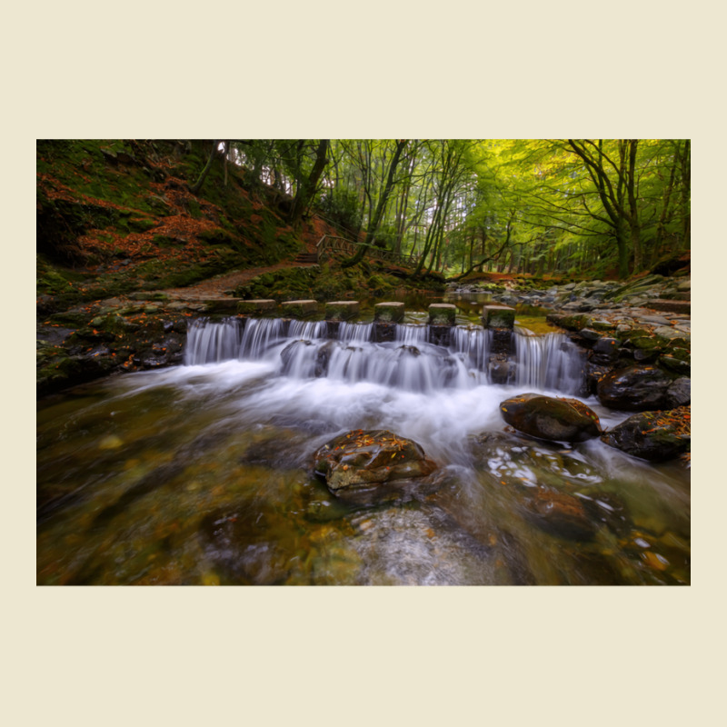 Tollymore Forest Park  County Down  Northern Irela Cropped Hoodie by oliwermabopep | Artistshot