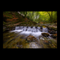 Tollymore Forest Park  County Down  Northern Irela Legging | Artistshot