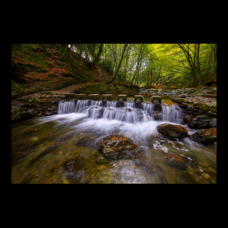 Tollymore Forest Park  County Down  Northern Irela Legging by oliwermabopep | Artistshot