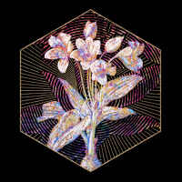 Crinum Giganteum Floral Rainbow Mosaic Love V-neck Tee | Artistshot