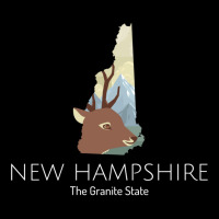 New Hampshire Proud State Motto The Granite State Fleece Short | Artistshot