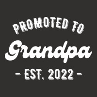 Promoted To Grandpa Est 2022 Travel Champion Hoodie | Artistshot