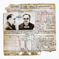 Al Capone Arrest Record 1932 Aesthetic T-shirt | Artistshot