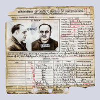 Al Capone Arrest Record 1932 Aesthetic Fleece Short | Artistshot