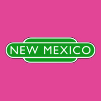 New Mexico 5 T-shirt | Artistshot