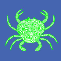 Mandala Crab Green And White Boy Zipper Hoodie | Artistshot