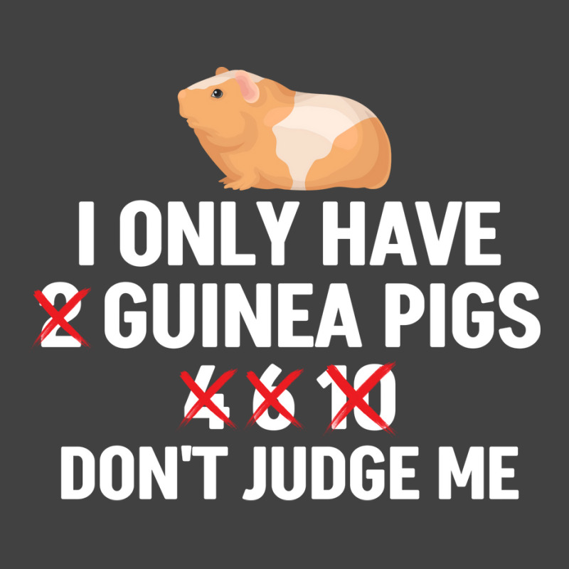 Funny Guinea Pig Owner Girl Music Vintage T-shirt | Artistshot