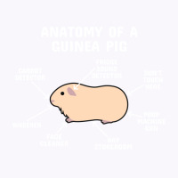 Anatomy Of A Guinea Pig Beige Cream White Text Hum Tank Top | Artistshot