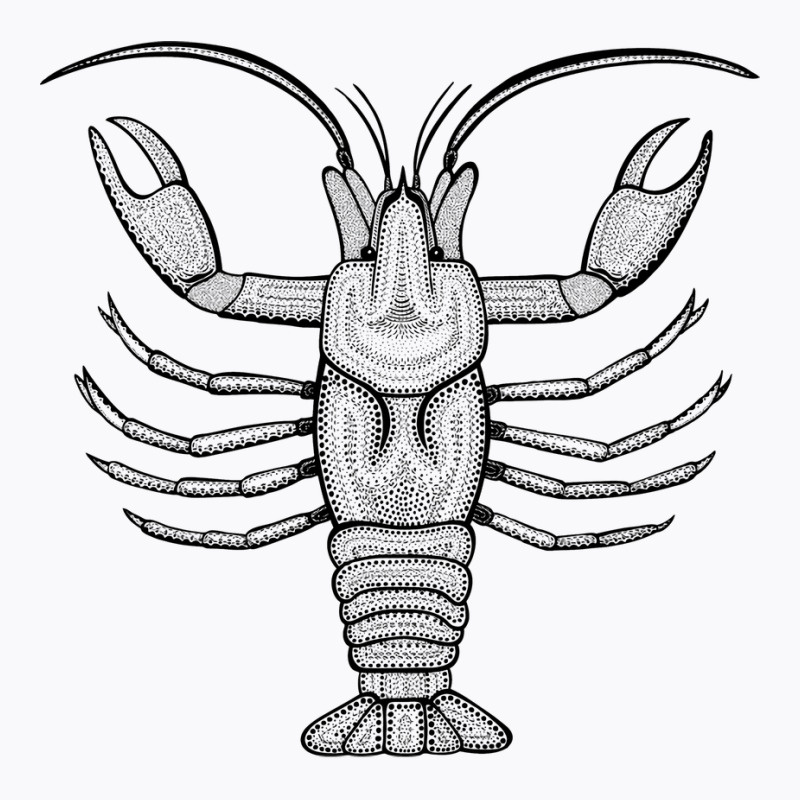 Crayfish Or Crawdad Ink Art Cool Animal Design On T-shirt | Artistshot