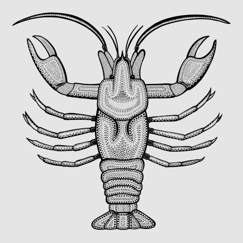 Crayfish Or Crawdad Ink Art Cool Animal Design On Exclusive T-shirt | Artistshot