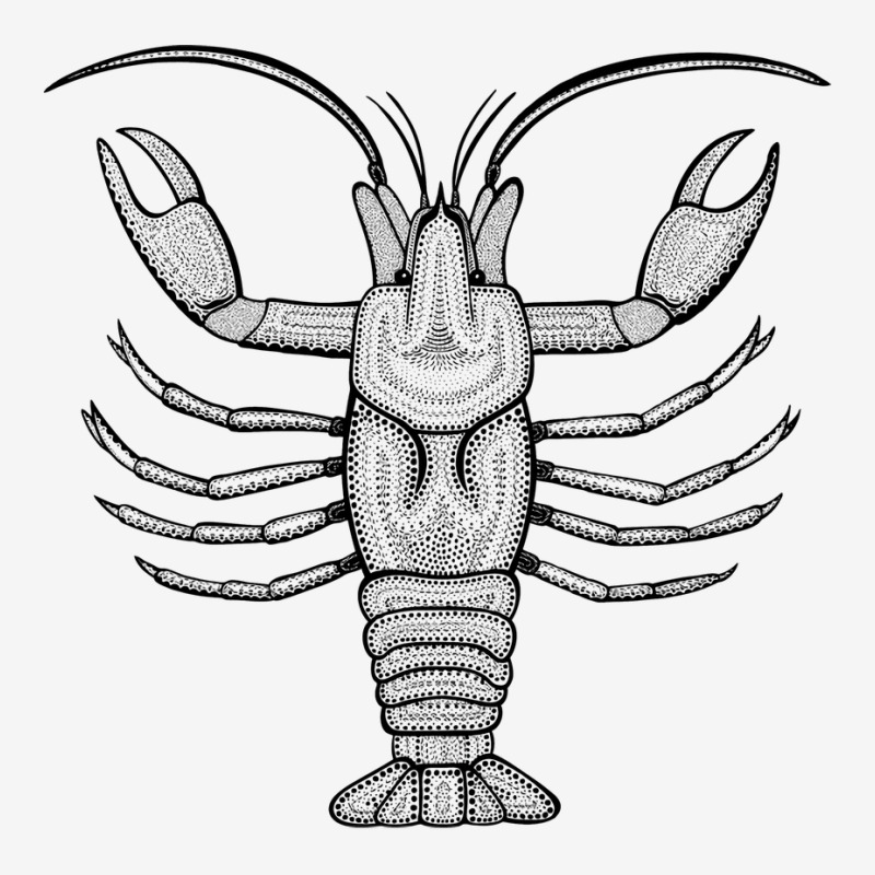 Crayfish Or Crawdad Ink Art Cool Animal Design On Classic T-shirt | Artistshot