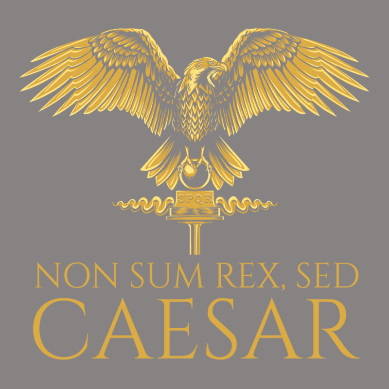 Ancient Rome Non Sum Rex Sed Caesar Latin Language Adjustable Cap by sajrulifaho | Artistshot