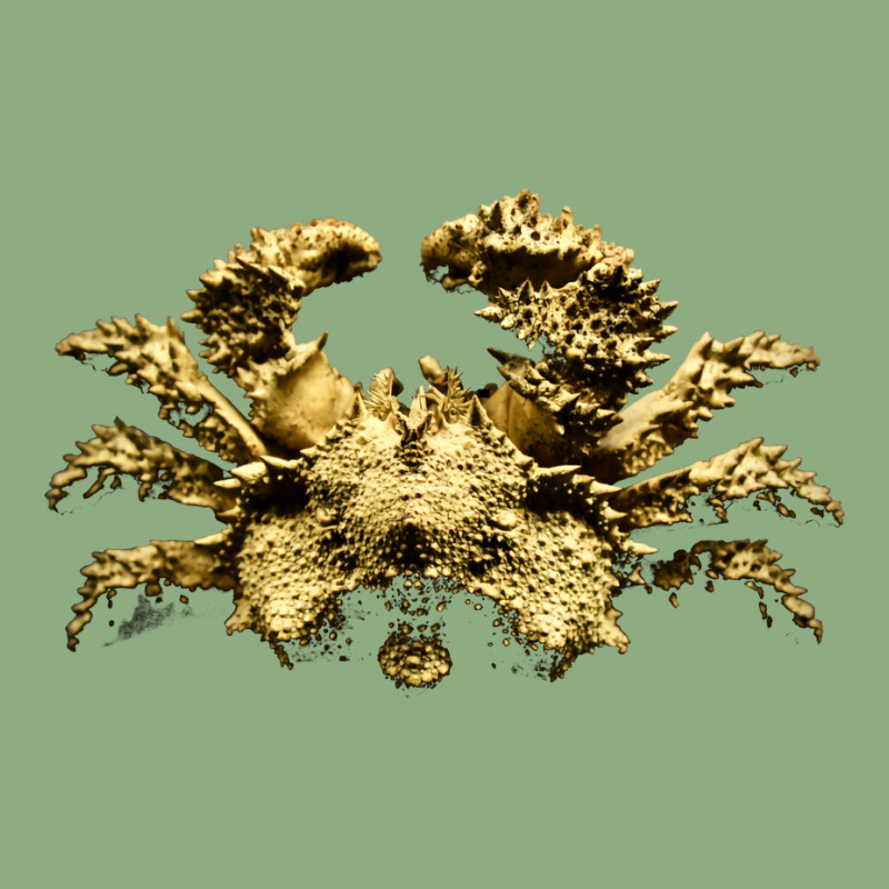 Crab Nature Ornament | Artistshot