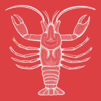 Crayfish Or Mudbug Ink Art Cool Animal Design On D Tank Top | Artistshot