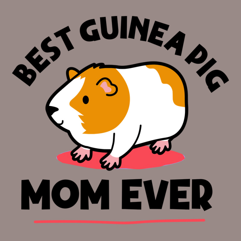 Funny Guinea Pig Owner Guinea Pig Mom Funny Girl Vintage T-shirt | Artistshot