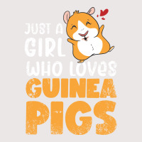 Just A Girl Who Loves Guinea Pigs Aesthetic Pocket T-shirt | Artistshot