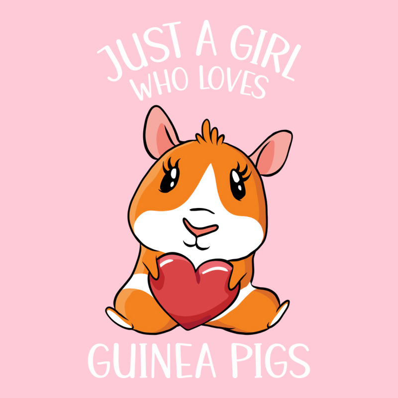 Just A Girl Who Loves Guinea Pigs Girl Graphic T-shirt | Artistshot