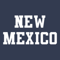 New Mexico 17 V-neck Tee | Artistshot