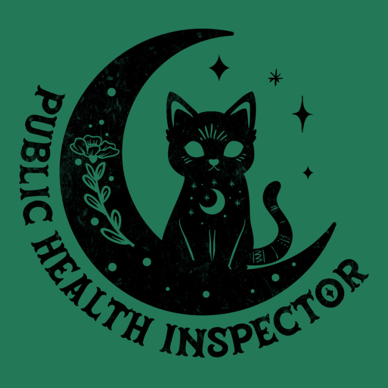 Public Health Inspector Magical Cat On Moon Design Ladies Fitted T-Shirt by caimialcinix | Artistshot